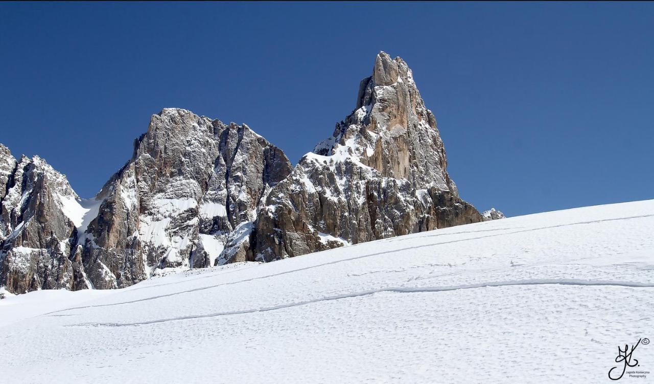 Casa De Fiemme Bed & Breakfast Tesero Exterior foto